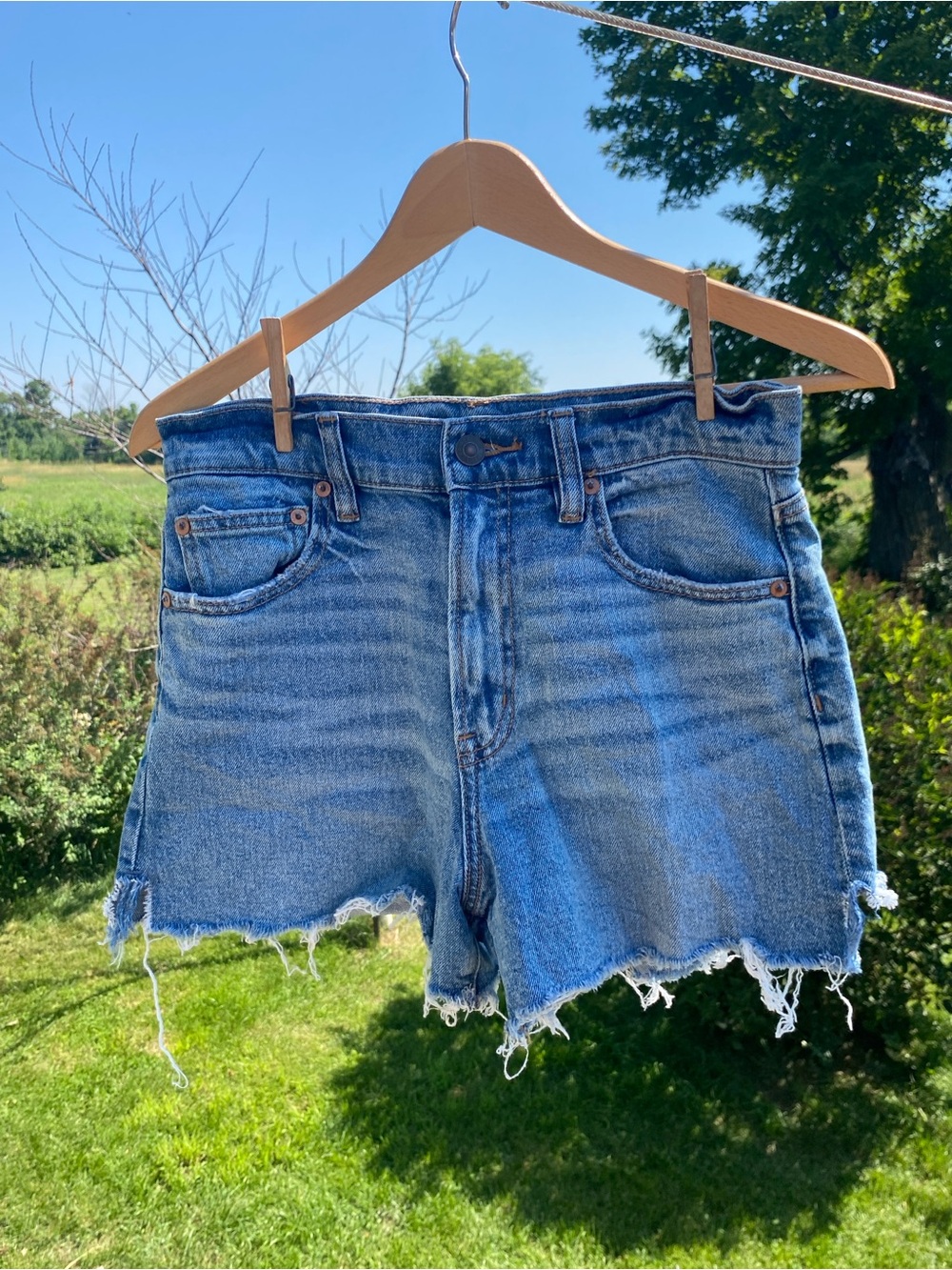American Eagle Jean Shorts